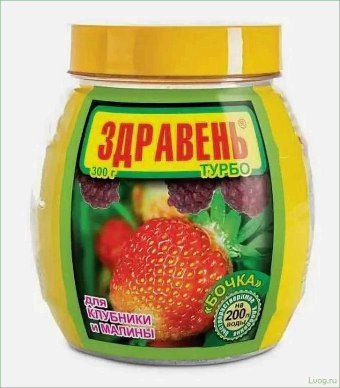 Удобрение Здравень Турбо для клубники и малины: эффективное питание для богатого урожая