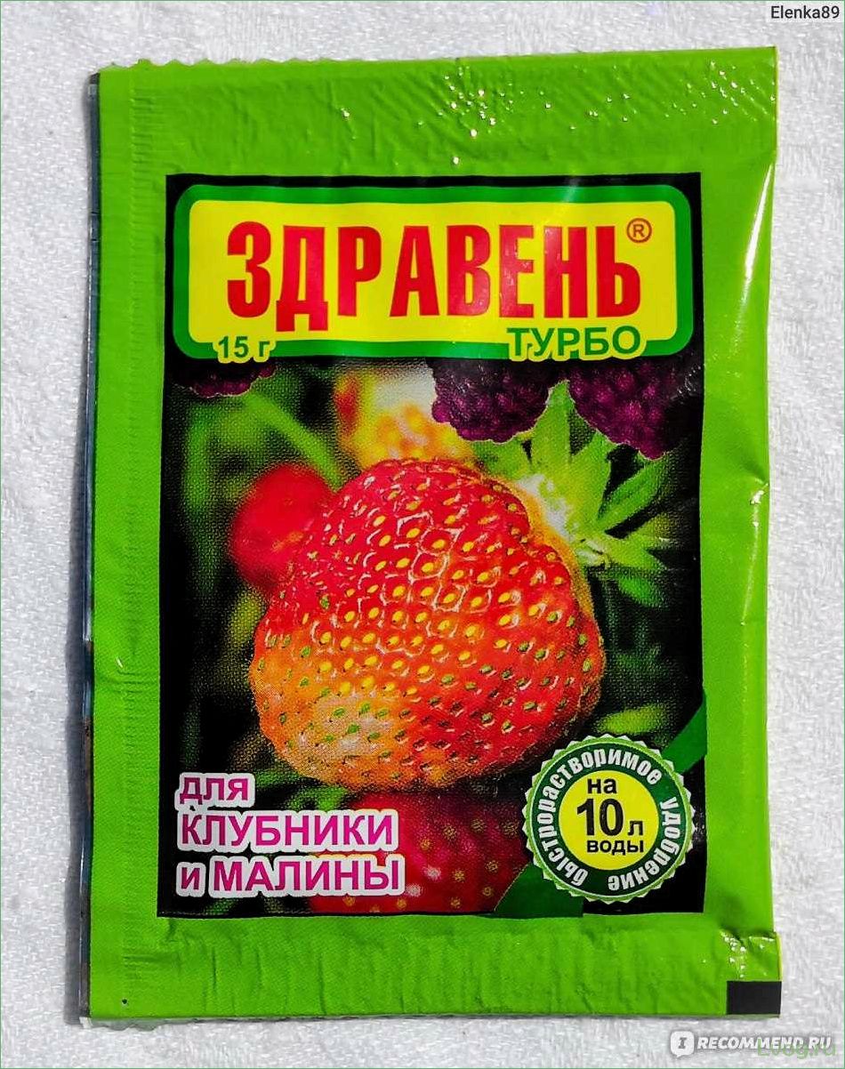 Удобрение Здравень Турбо для клубники и малины: эффективное питание для богатого урожая