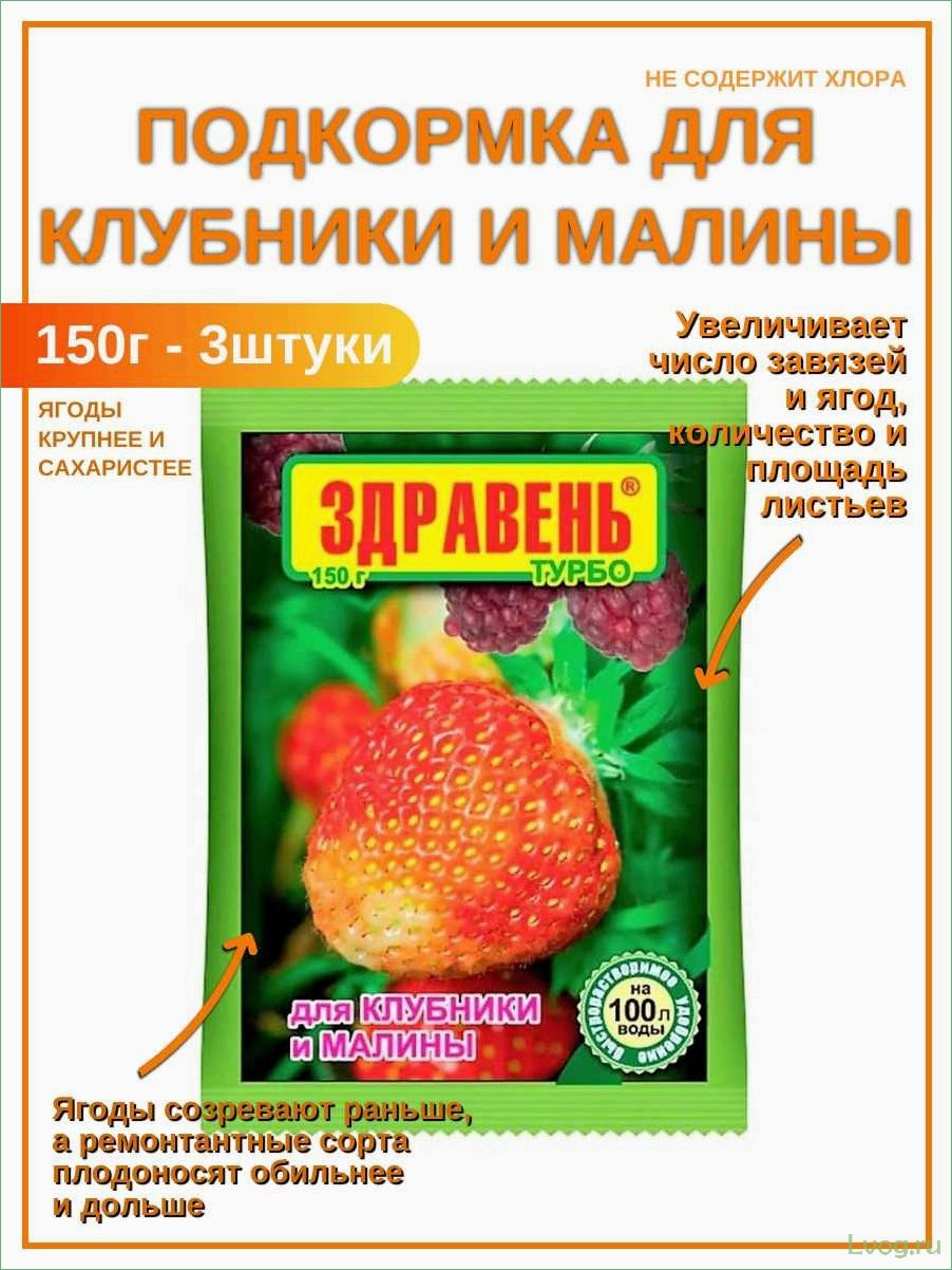 Удобрение Здравень Турбо для клубники и малины: эффективное питание для богатого урожая