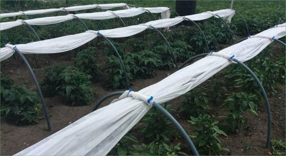 Дуги для теплиц: виды, материалы, установка и советы по выбору