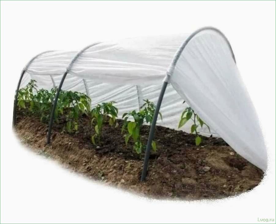 Дуги для теплиц: виды, материалы, установка и советы по выбору