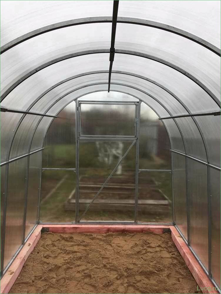 Дуги для теплиц: виды, материалы, установка и советы по выбору