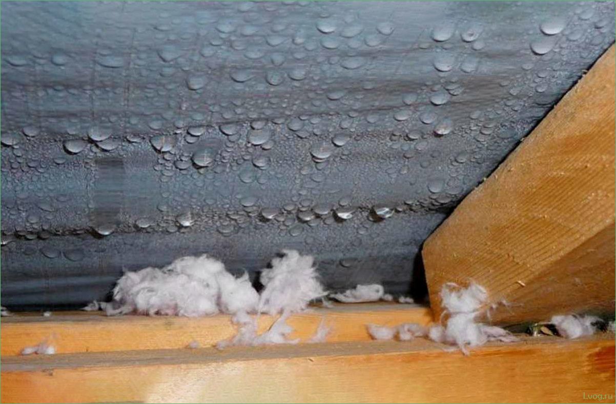 Конденсат на чердаке: причины появления и способы устранения