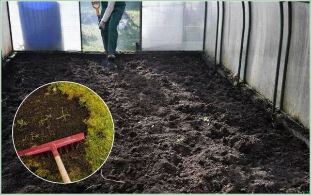 Фотосинтез — величайшая тайна зелёного растения