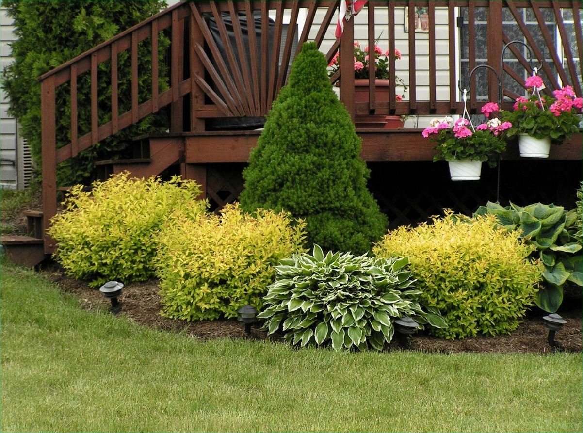 Сорта декоративных цветов, деревьев и кустарников: полный гид по выбору и уходу