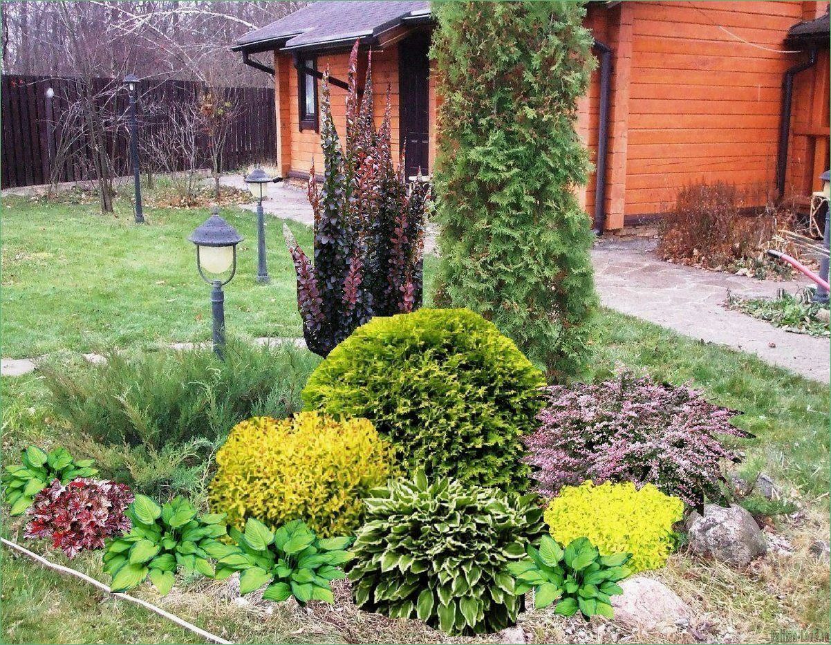 Сорта декоративных цветов, деревьев и кустарников: полный гид по выбору и уходу