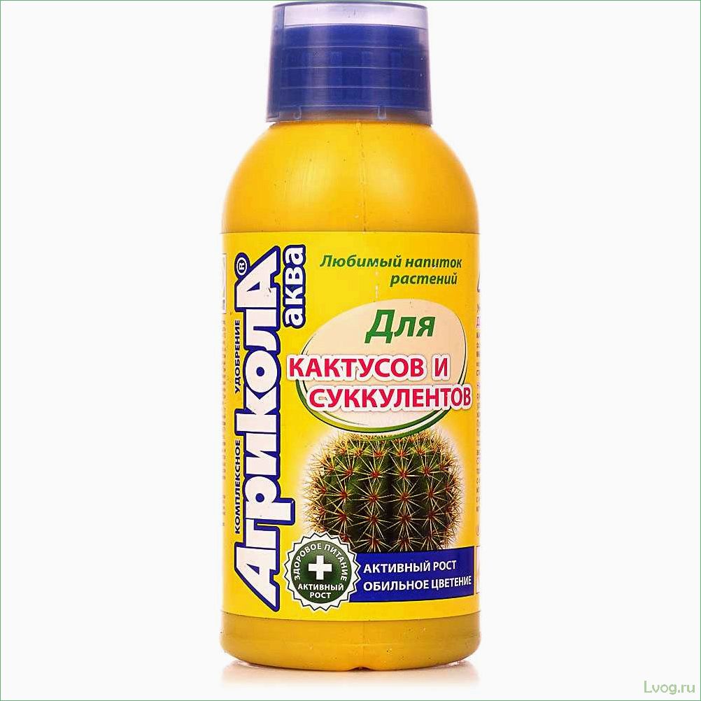 (удобрение, агрикола, аква, идеальное, решение) Удобрение Агрикола Аква — идеальное решение для роста и развития кактусов и суккулентов