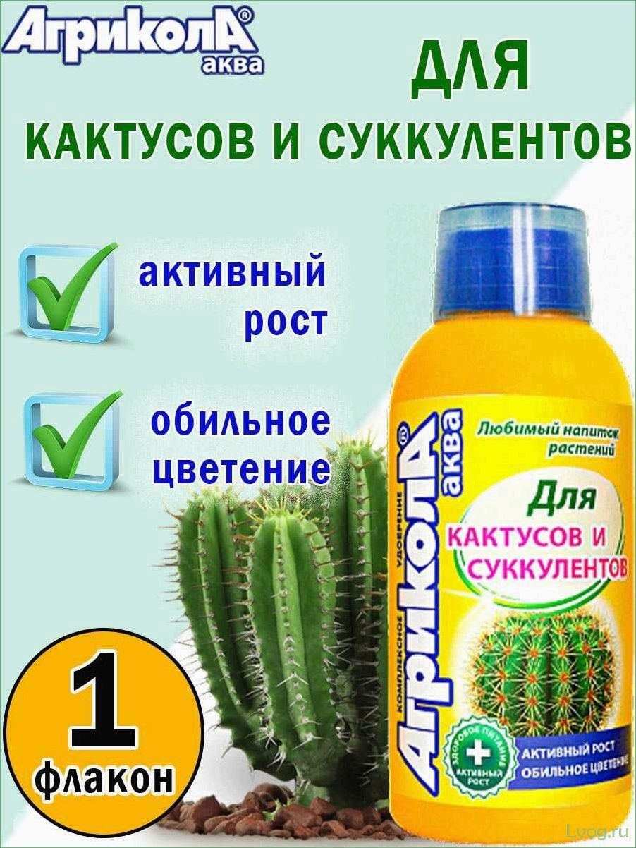 (удобрение, агрикола, аква, идеальное, решение) Удобрение Агрикола Аква — идеальное решение для роста и развития кактусов и суккулентов