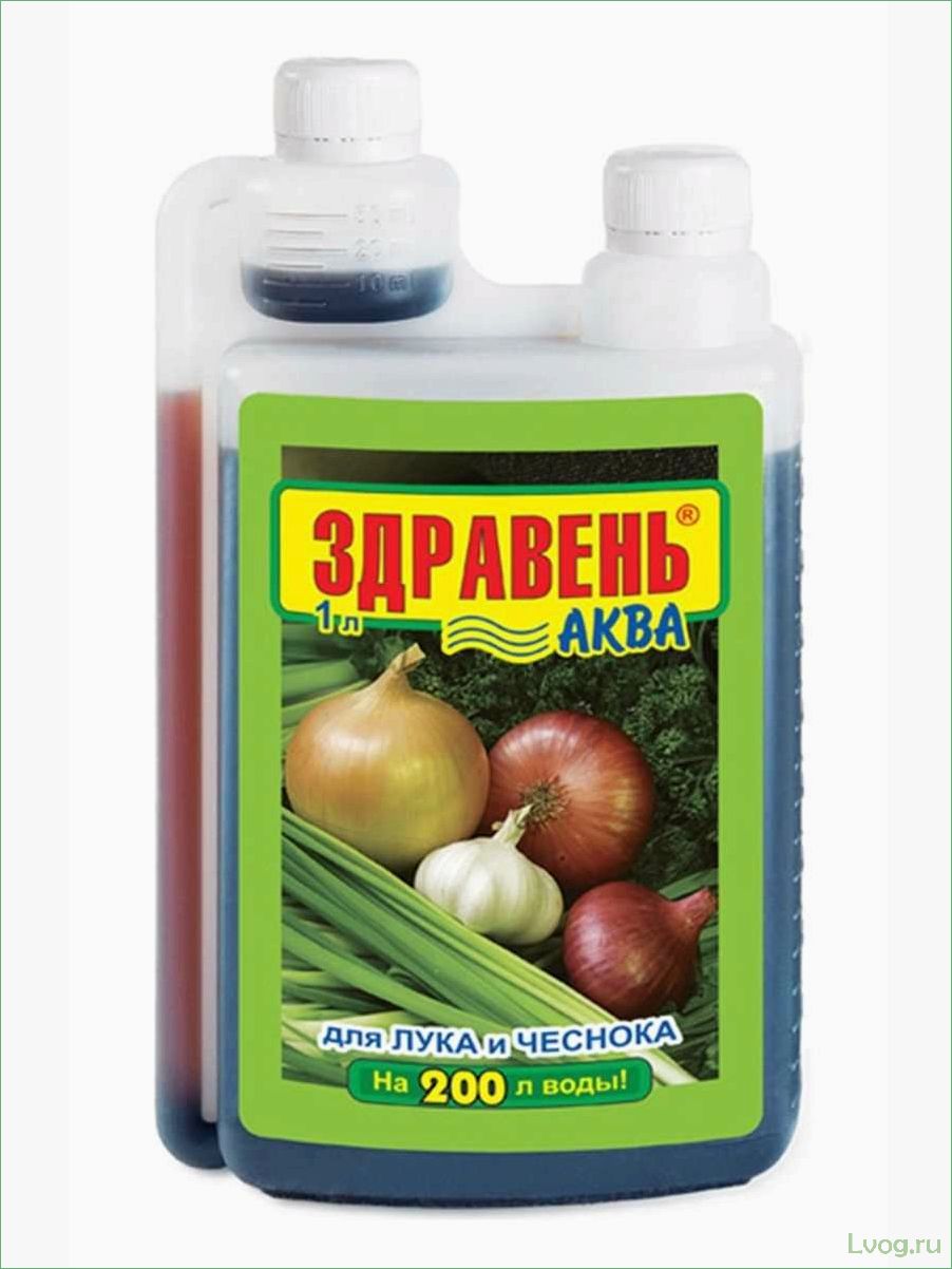 (удобрение, здравень, аква, лука, чеснока) Удобрение Здравень Аква для лука и чеснока: преимущества и правила применения