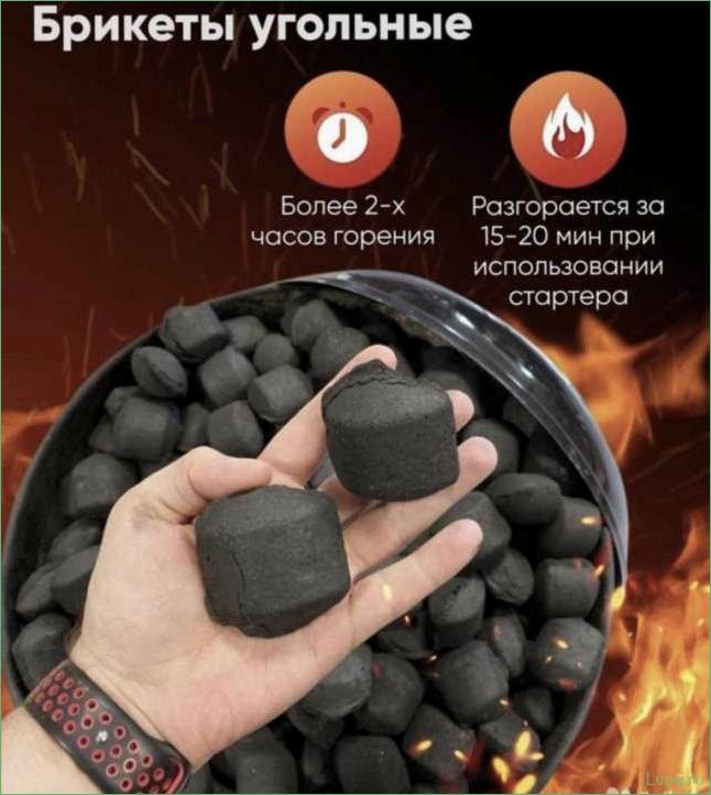 Все о брикетах для мангала: виды, преимущества и способы использования