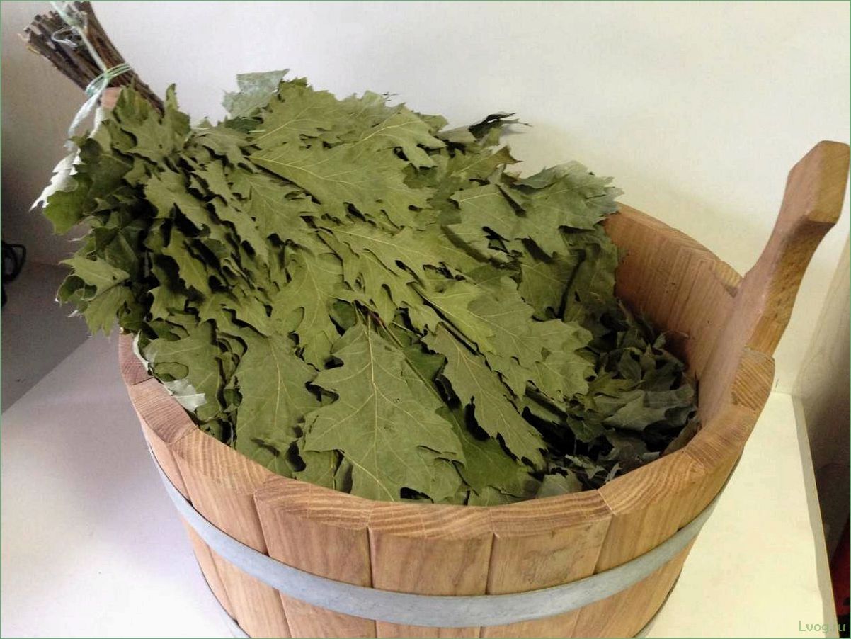 (кленовые, веники, бани, особенности, выбора) Кленовые веники для бани: особенности выбора и использования