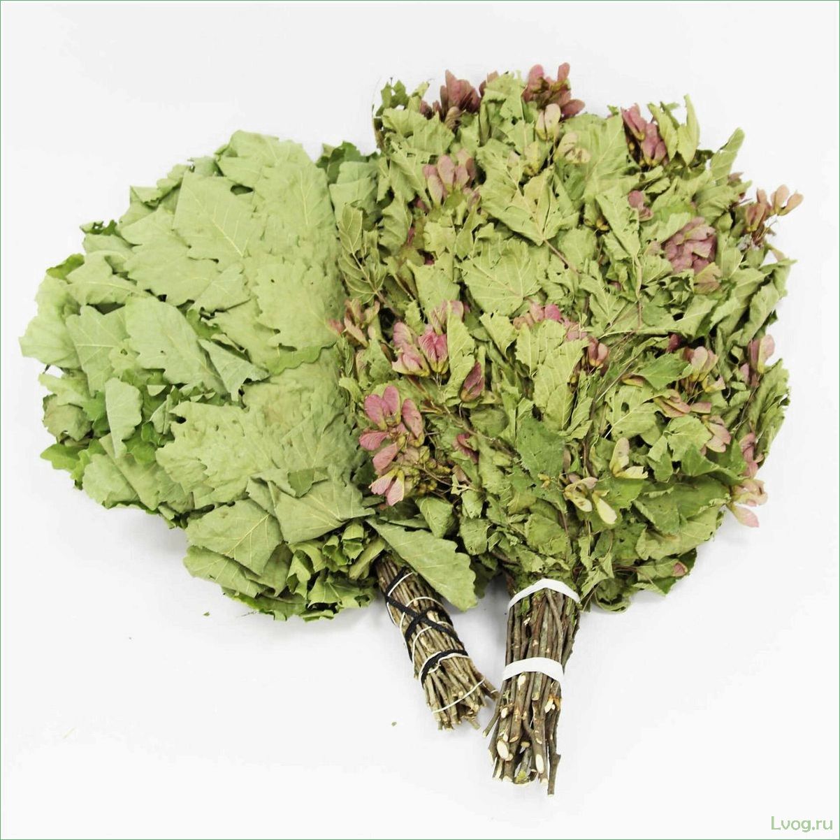 (кленовые, веники, бани, особенности, выбора) Кленовые веники для бани: особенности выбора и использования