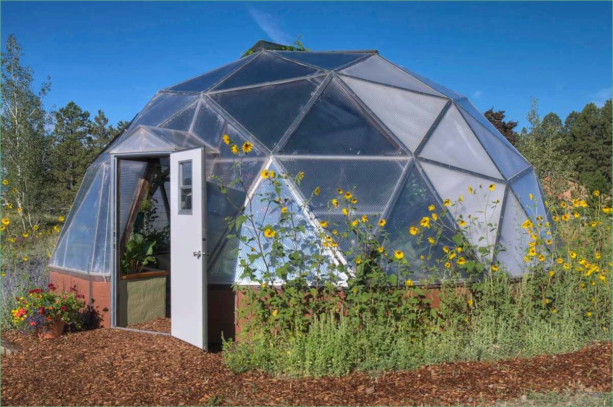 Купольные теплицы: полное руководство для успешного выращивания