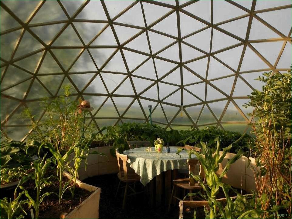 Купольные теплицы: полное руководство для успешного выращивания