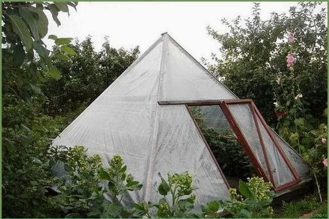 (пирамидальные, теплицы, особенности, конструкции, преимущества) Пирамидальные теплицы: особенности конструкции и преимущества использования