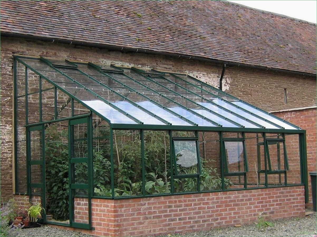 Пристенные теплицы: полезные советы и рекомендации для садоводов