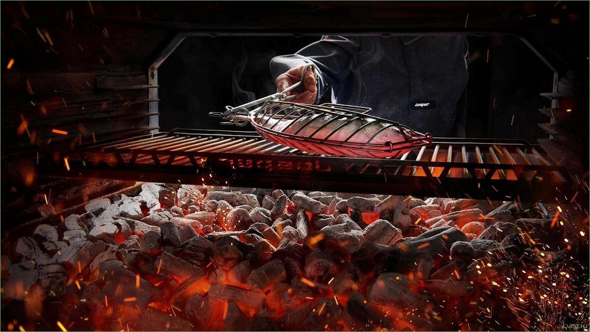 (хоспер-грили, полное, руководство, советы, выбору) Хоспер-грили: полное руководство и советы по выбору