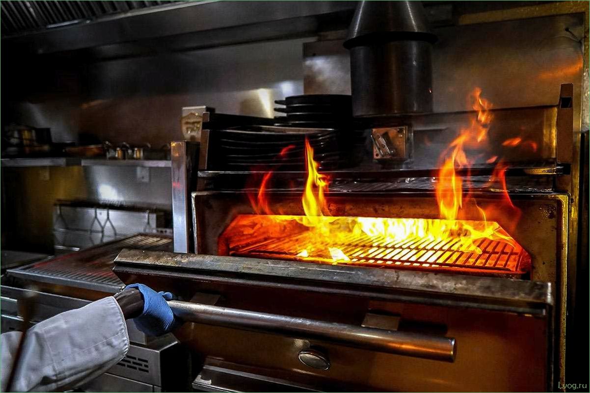 (хоспер-грили, полное, руководство, советы, выбору) Хоспер-грили: полное руководство и советы по выбору